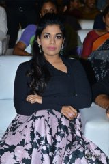Vijetha Movie Audio Launch Photos